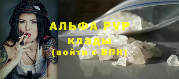 шишки Арсеньев