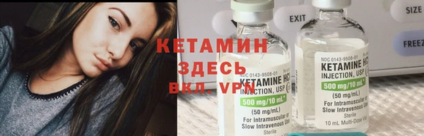шишки Арсеньев
