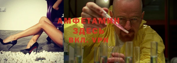 шишки Арсеньев