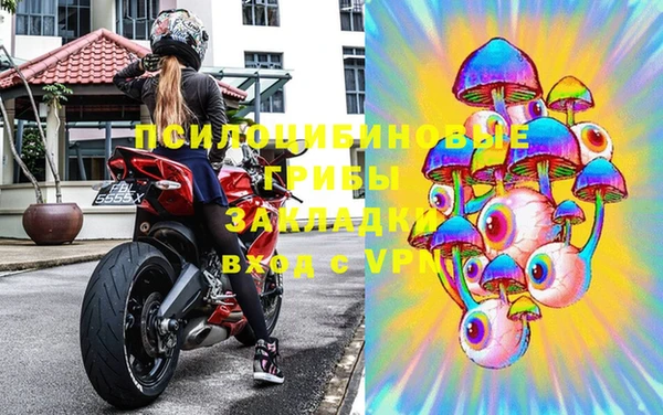 шишки Арсеньев