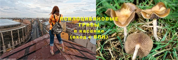 дмт Армянск