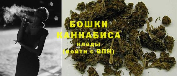 шишки Арсеньев