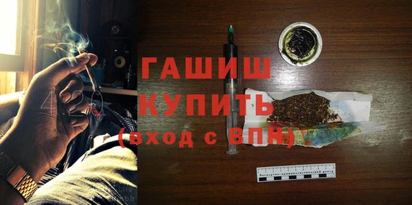 шишки Арсеньев