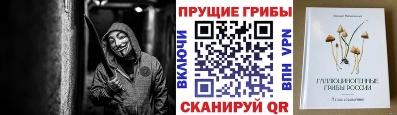 мега рабочий сайт  Жигулёвск  Галлюциногенные грибы GOLDEN TEACHER 